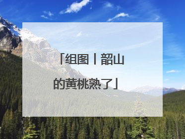 组图丨韶山的黄桃熟了