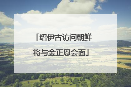 绍伊古访问朝鲜 将与金正恩会面