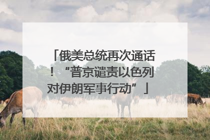 俄美总统再次通话！“普京谴责以色列对伊朗军事行动”