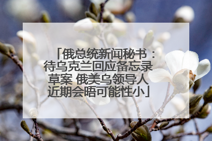 俄总统新闻秘书：待乌克兰回应备忘录草案 俄美乌领导人近期会晤可能性小