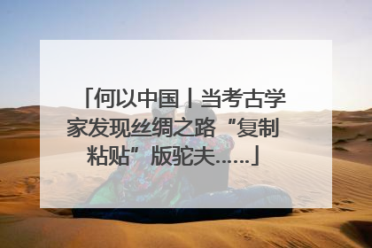 何以中国丨当考古学家发现丝绸之路“复制粘贴”版驼夫……