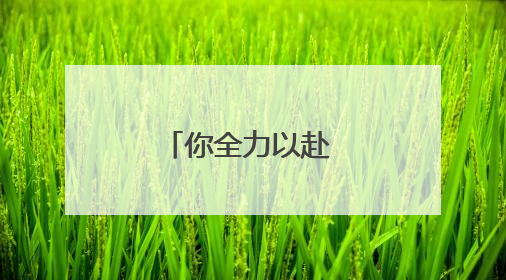 你全力以赴 我全力以护