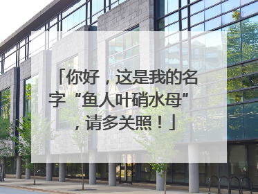 你好，这是我的名字“鱼人叶硝水母”，请多关照！