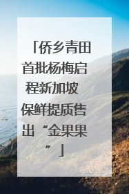 侨乡青田首批杨梅启程新加坡 保鲜提质售出“金果果”
