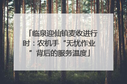 临泉迎仙镇麦收进行时：农机手“无忧作业”背后的服务温度