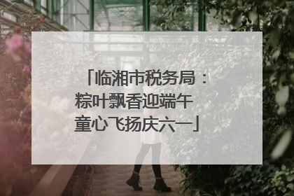 临湘市税务局：粽叶飘香迎端午 童心飞扬庆六一