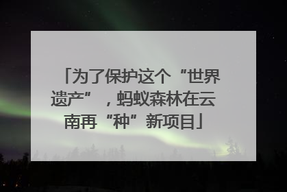 为了保护这个“世界遗产”，蚂蚁森林在云南再“种”新项目