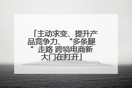 主动求变、提升产品竞争力、“多条腿”走路 跨境电商新大门在打开