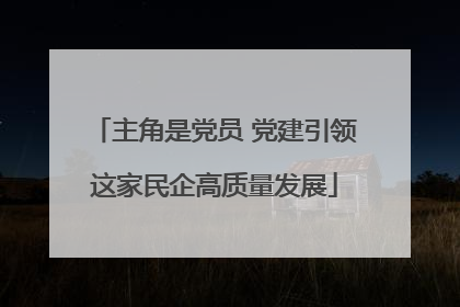 主角是党员 党建引领这家民企高质量发展