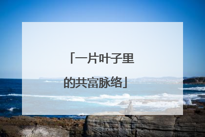 一片叶子里的共富脉络