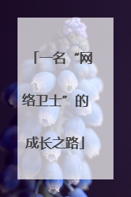 一名“网络卫士”的成长之路
