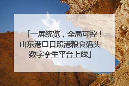 一屏统览，全局可控！山东港口日照港粮食码头数字孪生平台上线