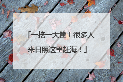 一挖一大筐！很多人来日照这里赶海！