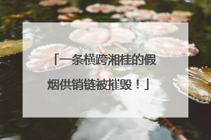 一条横跨湘桂的假烟供销链被摧毁！