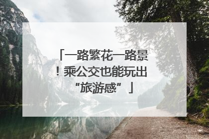一路繁花一路景！乘公交也能玩出“旅游感”