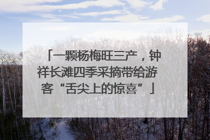 一颗杨梅旺三产，钟祥长滩四季采摘带给游客“舌尖上的惊喜”