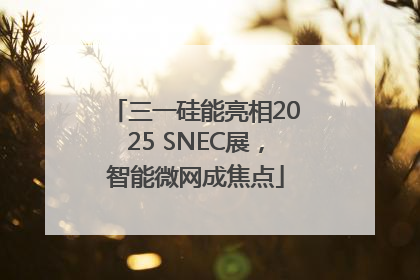 三一硅能亮相2025 SNEC展，智能微网成焦点