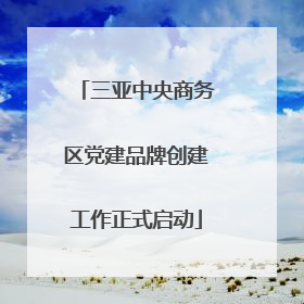 三亚中央商务区党建品牌创建工作正式启动