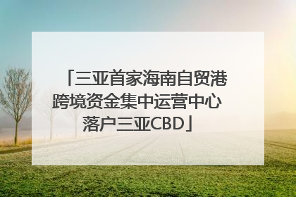三亚首家海南自贸港跨境资金集中运营中心落户三亚CBD