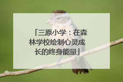 三原小学：在森林学校绘制心灵成长的终身能量