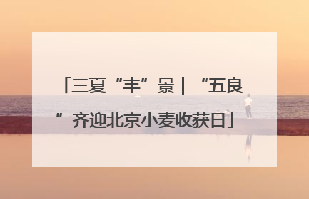 三夏“丰”景｜“五良”齐迎北京小麦收获日