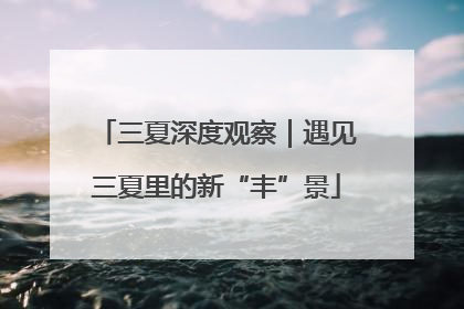 三夏深度观察｜遇见三夏里的新“丰”景