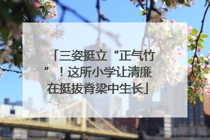三姿挺立“正气竹”！这所小学让清廉在挺拔脊梁中生长