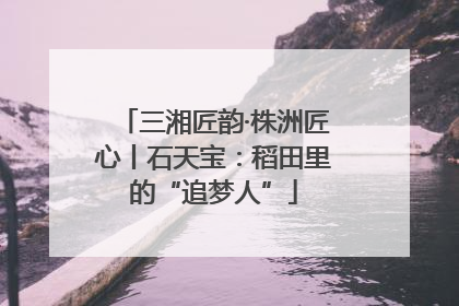 三湘匠韵·株洲匠心丨石天宝：稻田里的“追梦人”
