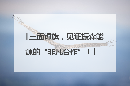 三面锦旗，见证振森能源的“非凡合作”！