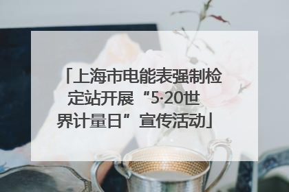 上海市电能表强制检定站开展“5·20世界计量日”宣传活动