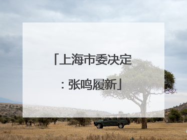 上海市委决定：张鸣履新