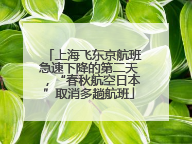 上海飞东京航班急速下降的第二天，“春秋航空日本”取消多趟航班