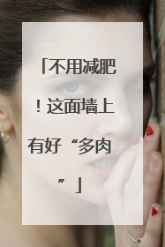 不用减肥！这面墙上有好“多肉”