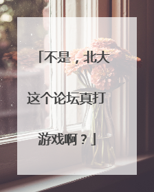 不是，北大这个论坛真打游戏啊？