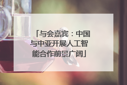 与会嘉宾：中国与中亚开展人工智能合作前景广阔