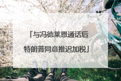 与冯德莱恩通话后 特朗普同意推迟加税