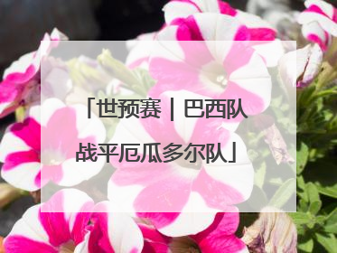 世预赛｜巴西队战平厄瓜多尔队