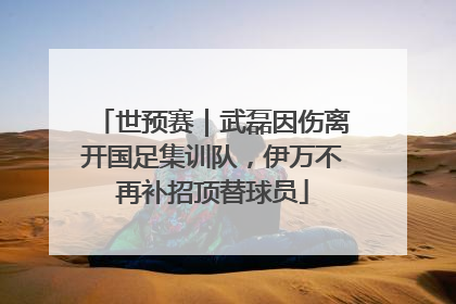 世预赛｜武磊因伤离开国足集训队，伊万不再补招顶替球员