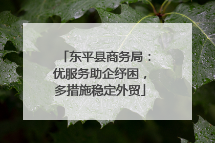 东平县商务局：优服务助企纾困，多措施稳定外贸