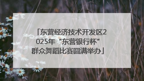 东营经济技术开发区2025年“东营银行杯”群众舞蹈比赛圆满举办