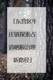 东营区牛庄镇探索占道晒粮治理新路径