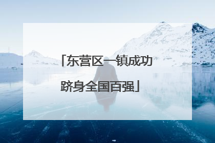 东营区一镇成功跻身全国百强