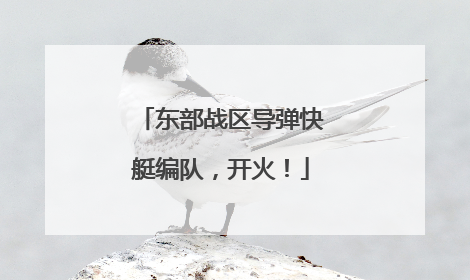东部战区导弹快艇编队，开火！