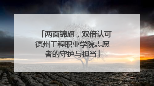 两面锦旗，双倍认可德州工程职业学院志愿者的守护与担当