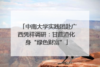 中南大学实践团赴广西凭祥调研：甘蔗渣化身“绿色财富”