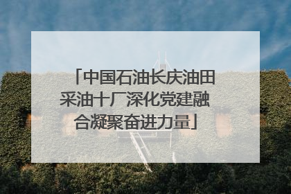 中国石油长庆油田采油十厂深化党建融合凝聚奋进力量