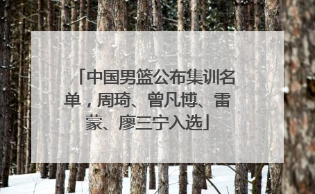 中国男篮公布集训名单，周琦、曾凡博、雷蒙、廖三宁入选