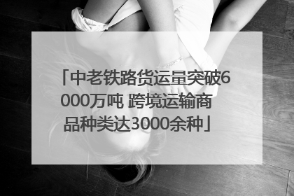中老铁路货运量突破6000万吨 跨境运输商品种类达3000余种