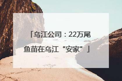 乌江公司：22万尾鱼苗在乌江“安家”