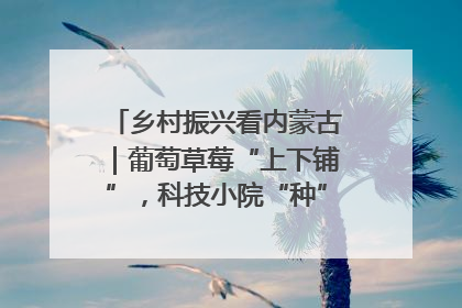 乡村振兴看内蒙古｜葡萄草莓“上下铺”，科技小院“种”出三倍效益